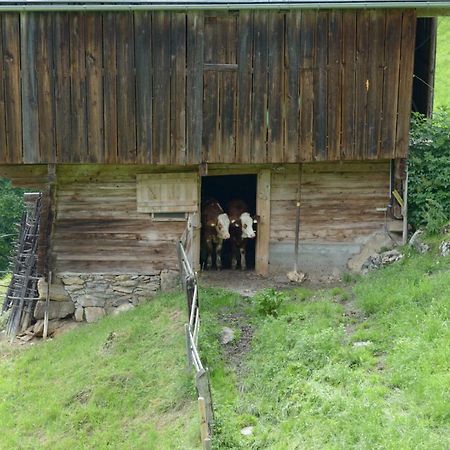 Bergpension-Ebental Brixen im Thale Exterior photo