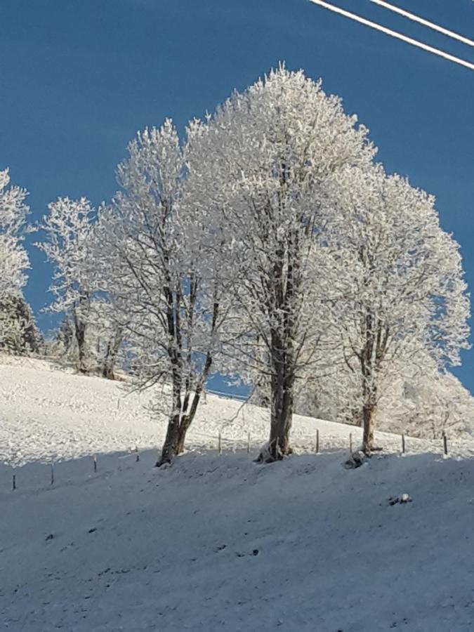Bergpension-Ebental Brixen im Thale Exterior photo