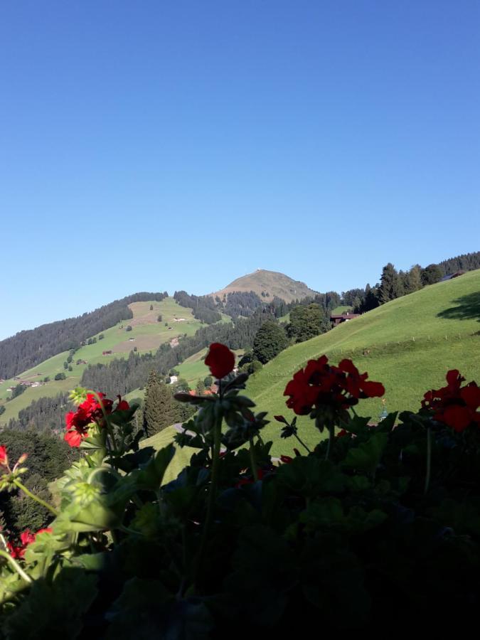 Bergpension-Ebental Brixen im Thale Exterior photo
