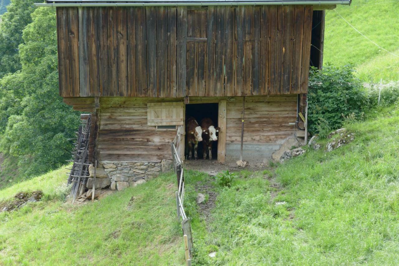 Bergpension-Ebental Brixen im Thale Exterior photo